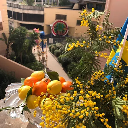 Villawoho Apartment *